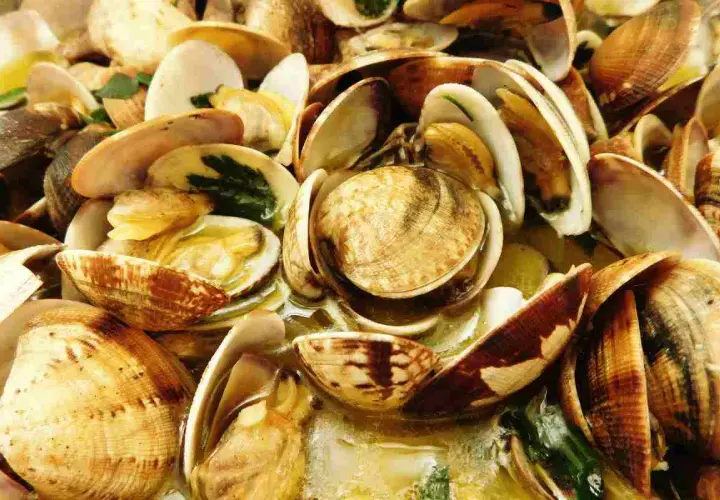 Un invitante sautè di vongole, con gusci aperti che rivelano la loro polpa succulenta, immersi in un brodo profumato.