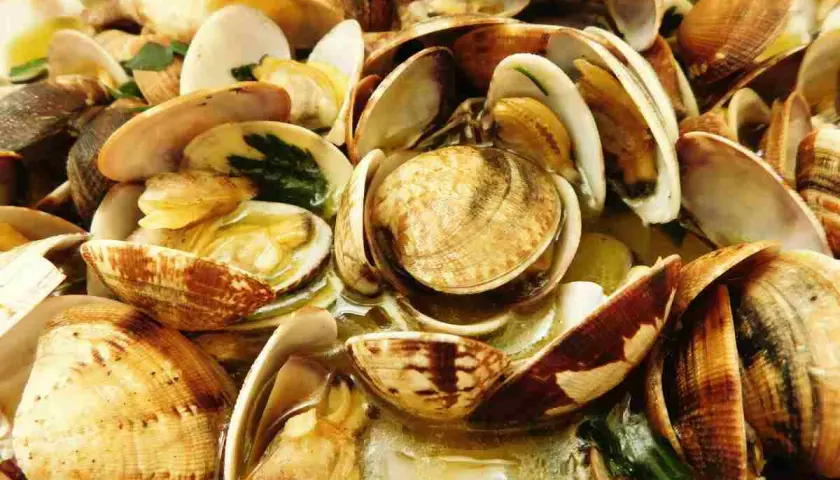 Un invitante sautè di vongole, con gusci aperti che rivelano la loro polpa succulenta, immersi in un brodo profumato.