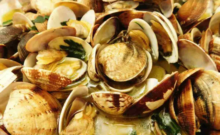Sautè di vongole perfetto, dalla sabbia alla tavola