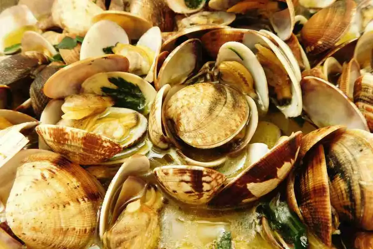 Un invitante sautè di vongole, con gusci aperti che rivelano la loro polpa succulenta, immersi in un brodo profumato.